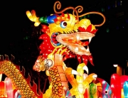 Dragon Dances at Queen Victoria Market